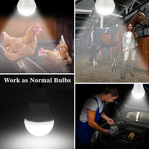 Indoor-Outdoor Solar Light Bulbs for Chicken Coop, Tent