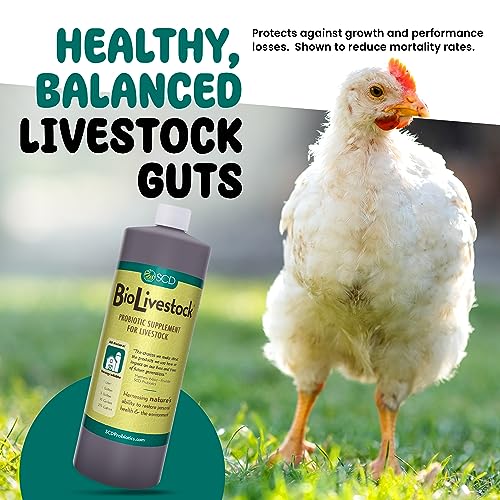 SCD Bio - Organic Probiotic Supplement for Chickens