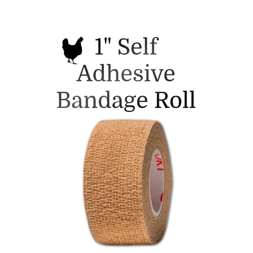 Non-Surgical Bumblefoot Treatment Kit for Chickens