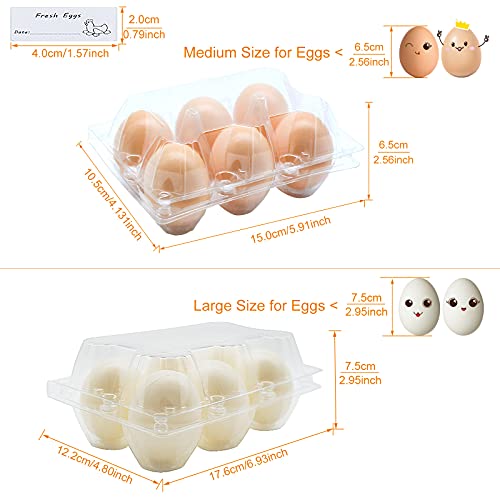 Clear Eco-friendly Plastic Egg Cartons - 60 Packs