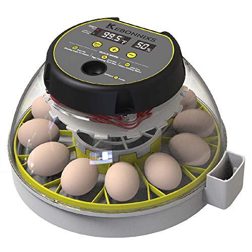 12 Egg Incubator with Humidity Display and Turner