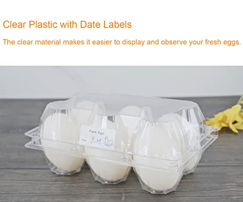 Clear Eco-friendly Plastic Egg Cartons - 60 Packs
