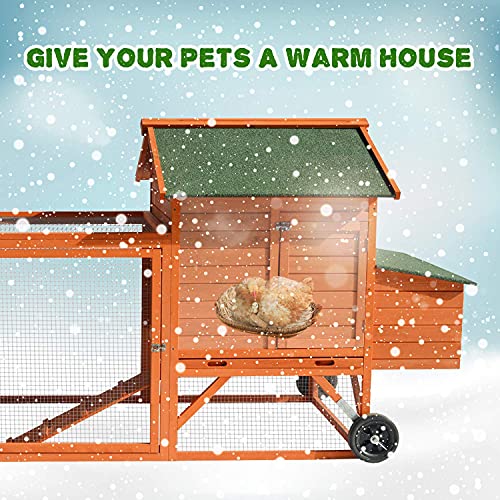 Deluxe Wooden Chicken Coop with Nesting Box