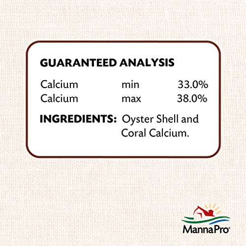 Oyster Shell Calcium Supplement for Laying Chickens - 5 lbs