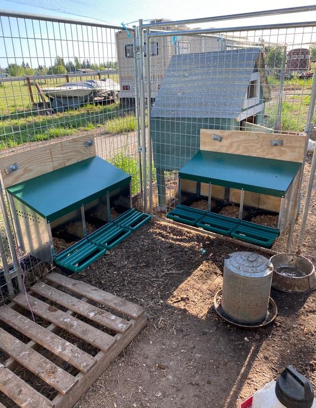 3 Compartment Roll Out Nesting Box for Chickens