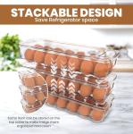 Egg Storage Tray with Lid and Handle - Pack of 2