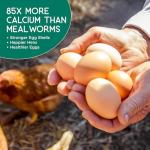 FLYGRUBS Non-GMO Chicken Feed with Extra Calcium (5lb)