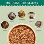 FLYGRUBS Non-GMO Chicken Feed with Extra Calcium (5lb)