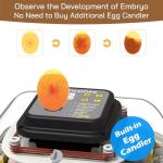 30 Egg Incubator with Humidity Display, Candler and Turner