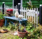 Funny Chicken Tin Sign for Home and Coop