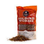 Premium Soldierworms Chicken Treats - 16oz