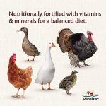 Manna Pro All Flock Crumbles with Probiotics, 8 lbs