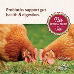 Manna Pro All Flock Crumbles with Probiotics, 8 lbs