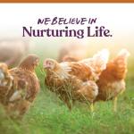 Manna Pro 7-Grain Chicken Scratch Non-GMO Treat