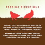 Manna Pro Harvest Delight - Mixed Flock Chicken Treat