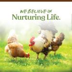 Manna Pro Garden Delight Chicken Treat Mix 2.25 lb