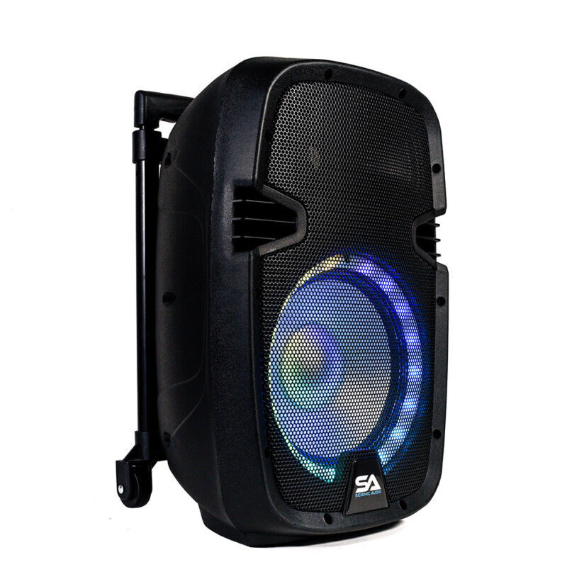 10" Bluetooth DJ Karaoke Speaker Set with LED Lights