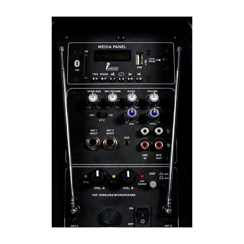 10" Bluetooth DJ Karaoke Speaker Set with LED Lights