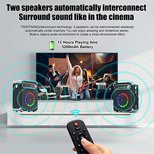 Wireless Karaoke Machine with Adjustable Bass/Treble, LED Lights