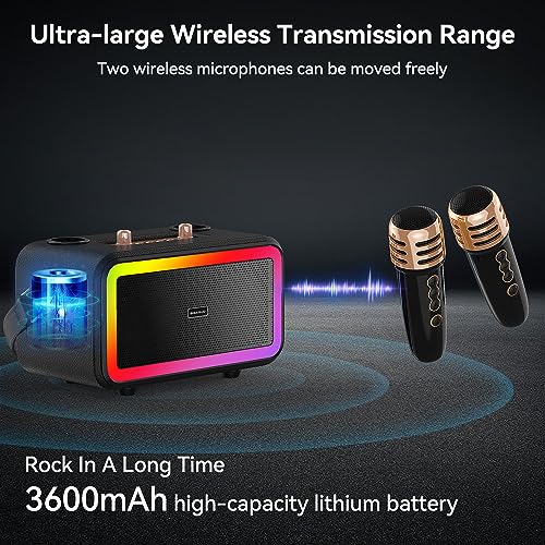 Wireless Karaoke Machine: BIGASUO Wood Speaker, LED Lights