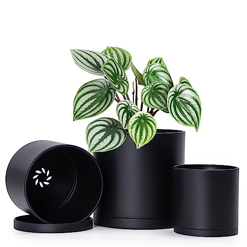 Stylish Set of 3 Black Drainage Planters