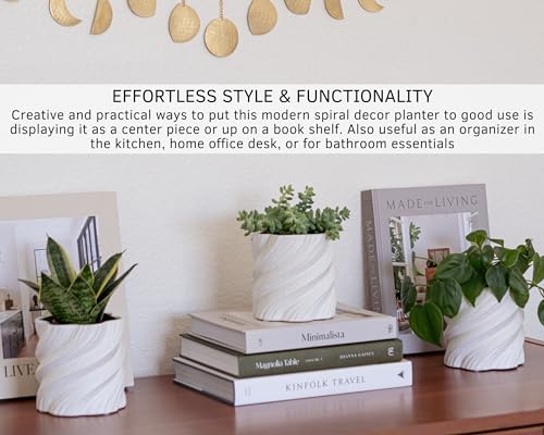BASE ROOTS Spiral Planter for Cozy Spaces