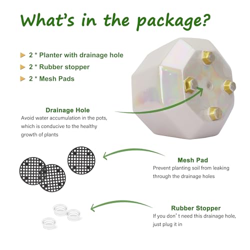 Modern Ceramic Planter Set with Drainage Holes