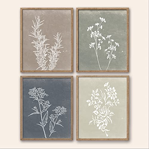 Framed Boho Botanical Art Set of 4