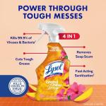 Lysol Multi-Purpose Disinfecting Spray, Mango Hibiscus