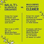 MRS. MEYER'S CLEAN DAY All-Purpose Cleaner Spray 16 oz