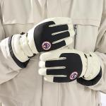 Waterproof Touch Screen Ski Gloves for All