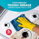 Coconut & Sea Mineral Disinfectant Spray - 4 Pack