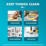 Coconut & Sea Mineral Disinfectant Spray - 4 Pack