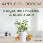 Apple Blossom Bathroom Cleaning Spray, 16 Fl Oz