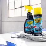 Streak-Free Glass Cleaner Spray - 19 oz (2 Pack)