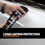 Ceramic Paint Sealant Kit for Motorcycles - 14oz