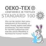 Blue Dinosaur Plush Baby Blanket, 30 x 36 Inches