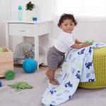 Blue Dinosaur Plush Baby Blanket, 30 x 36 Inches