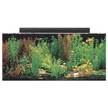 Acrylic aquariums