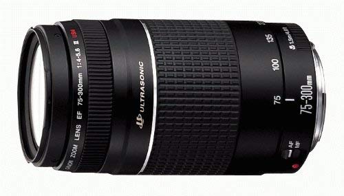 Canon Telephoto Zoom Lens for Canon SLR Cameras