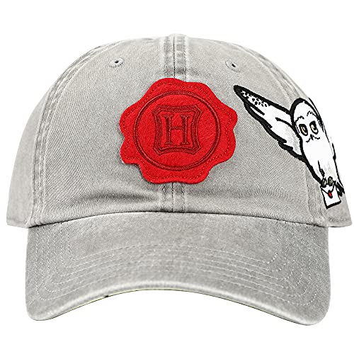 Harry Potter Hogwarts Snapback Hat for Men