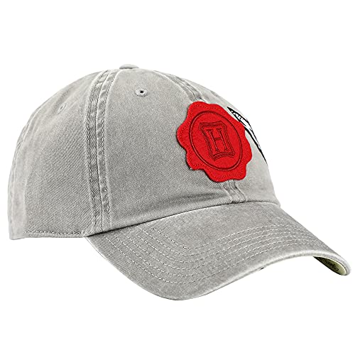 Harry Potter Hogwarts Snapback Hat for Men