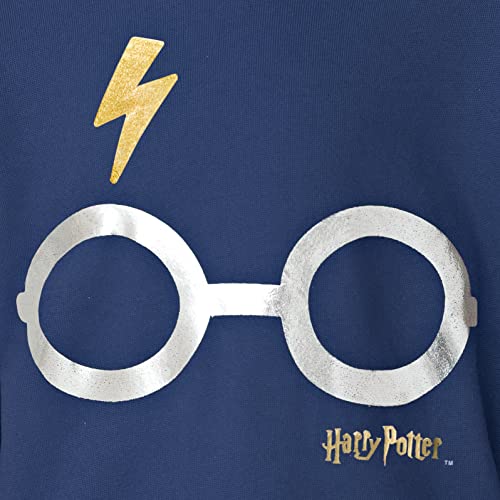 Harry Potter Boys Blue Fleece Hoodie - Size 14-16