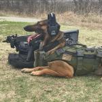 Walker's Razor Slim Electronic Muff - Black