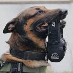 Walker's Razor Slim Electronic Muff - Black