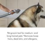 Dyson Ball Animal 3 Extra Upright Vacuum Cleaner