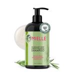Mielle Organics Rosemary Mint Biotin Shampoo 12 oz