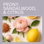 Jhirmack Silver Brightening Shampoo & Conditioner Set