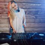 KabelDirekt 25ft RCA Y Cable for Home Theater