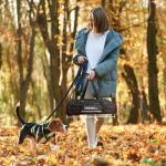 100-Inch Portable Outdoor Projector Screen with Stand